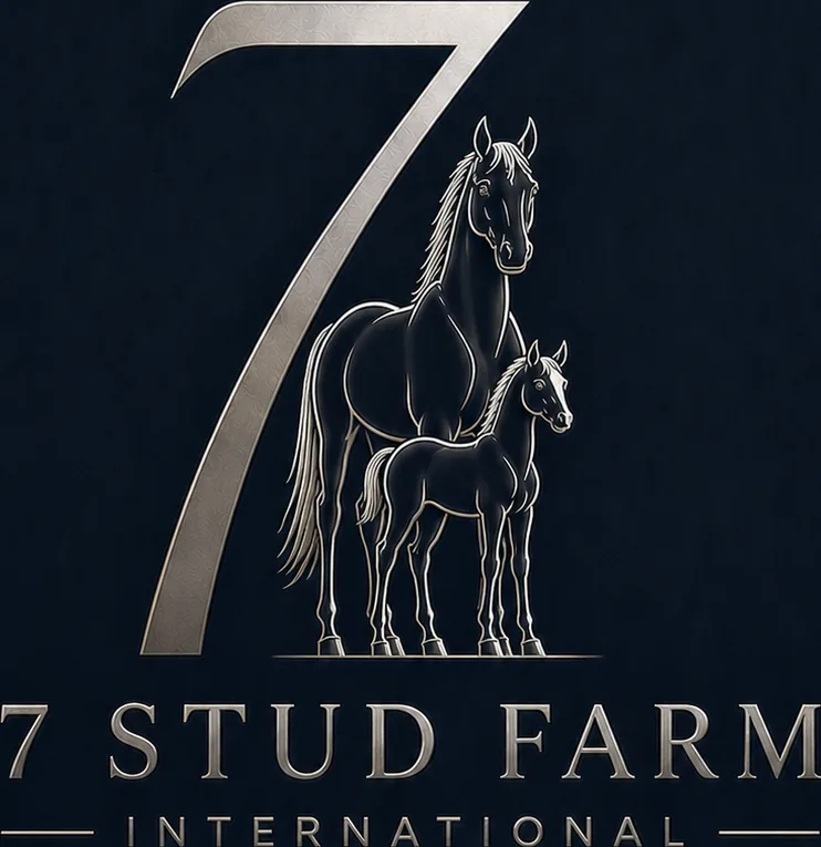 7 Stud Farm International